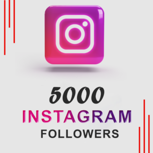 Buy 5000 Instagram Followers